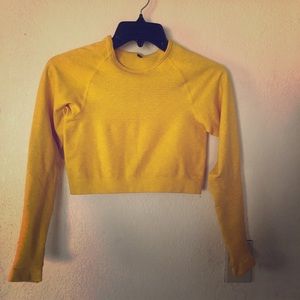 Alphalete revival cropped long sleeve